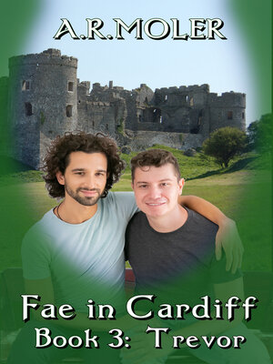 cover image of Fae in Cardiff Book 3